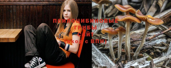 молекула духа Балабаново
