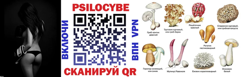 Галлюциногенные грибы Psilocybine cubensis  Белово 
